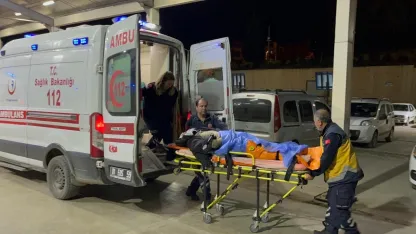 Adana'da iki otomobilin çarpıştığı kazada 2 kişi yaralandı