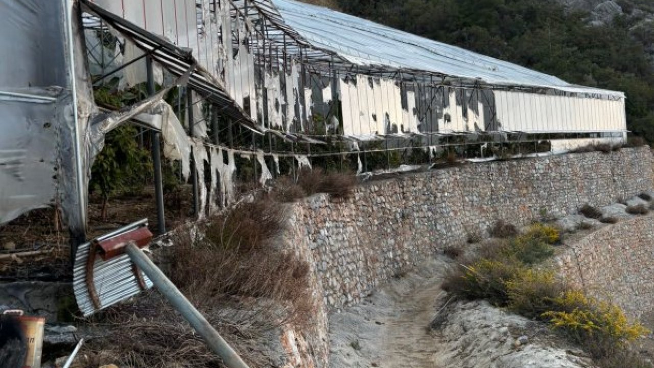 Alanya'da kundaklama iddiasıyla yakalanan 3 zanlı tutuklandı