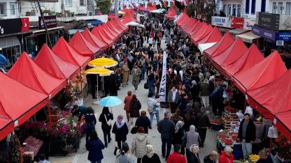 Bodrum'da 7. Acı Ot Festivali binlerce kişiyi ağırladı