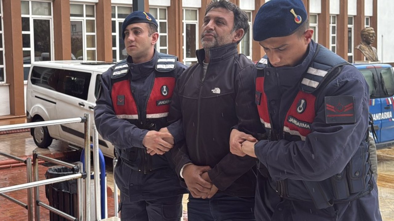 GÜNCELLEME - Aydın'da zeytin ve incir ağaçlarını tahrip ettiği öne sürülen şüpheli salıverildi