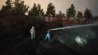 Karabük'te ormanda çıkan örtü yangınında 1 dekarlık alan zarar gördü