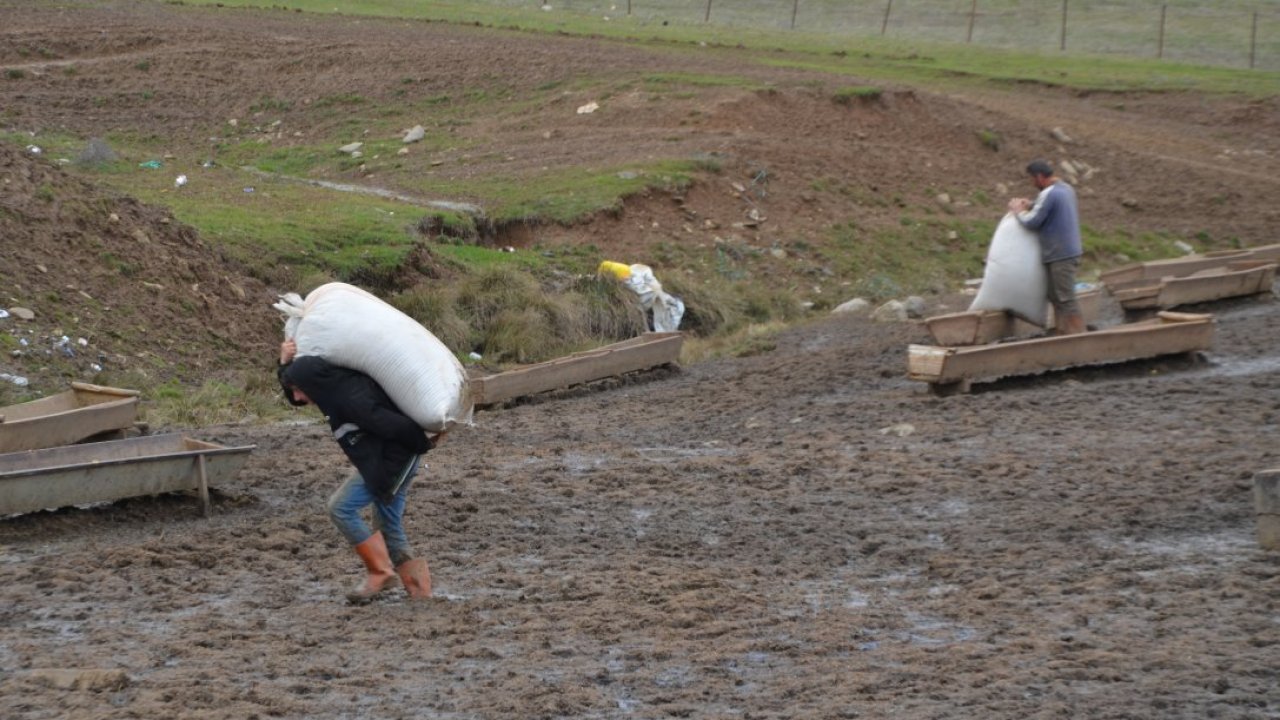 Muş'ta besicilerin kış mesaisi sürüyor