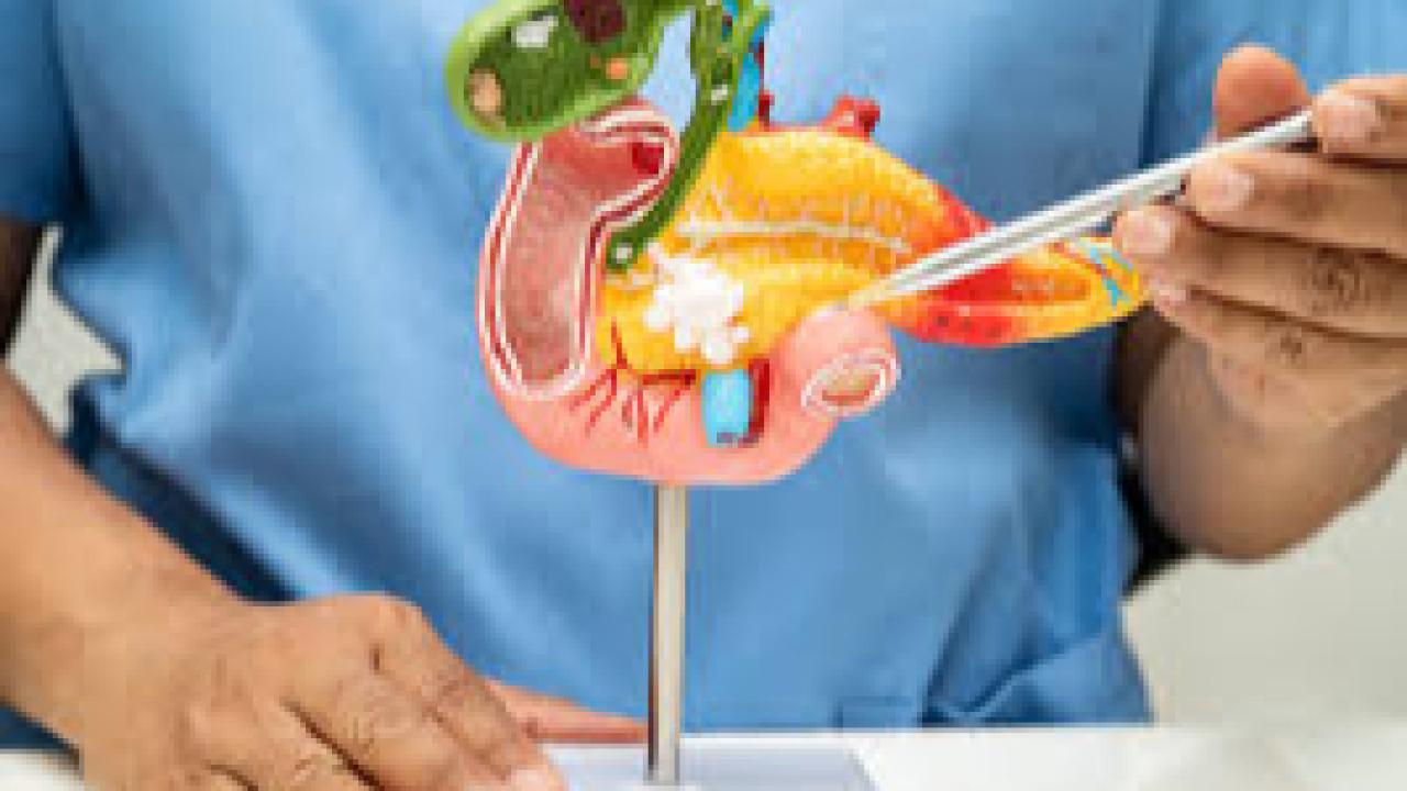 Ramazan pankreasın yıllık izni, hücrelerin büyük temizliği