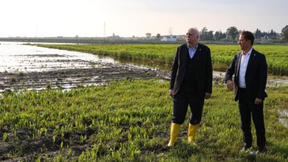 TZOB Genel Başkanı Bayraktar, Adana'da sağanaktan etkilenen bölgelerde incelemelerde bulundu