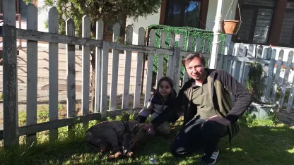 Bolu’da araç çarpması sonucu yaralanan karaca, tedavi altına alındı.