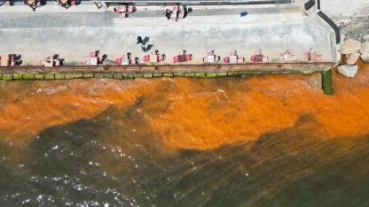 Korkutan değişiklik: Tekirdağ'da denizin rengi değişti