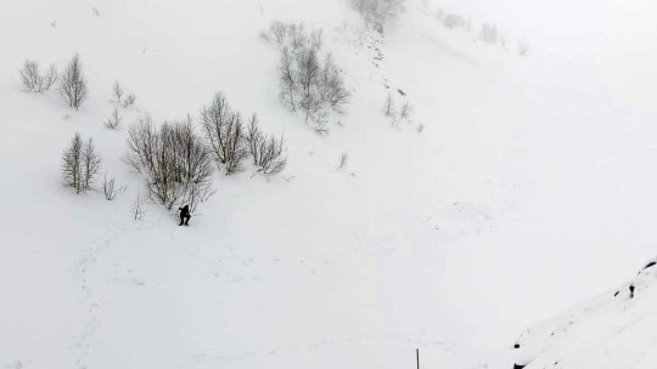 Artvin'de çığ bölgesinde gözlemsel etüt ve kar rasatı çalışması yapıldı