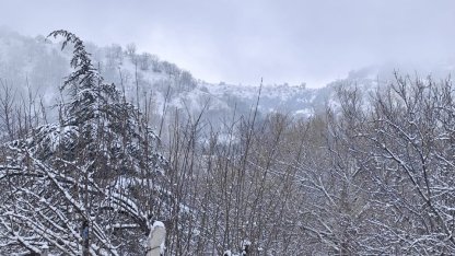 Beypazarı’nın yüksek kesimlerinde nisan karı etkili oldu 