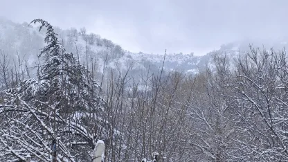 Beypazarı’nın yüksek kesimlerinde nisan karı etkili oldu 