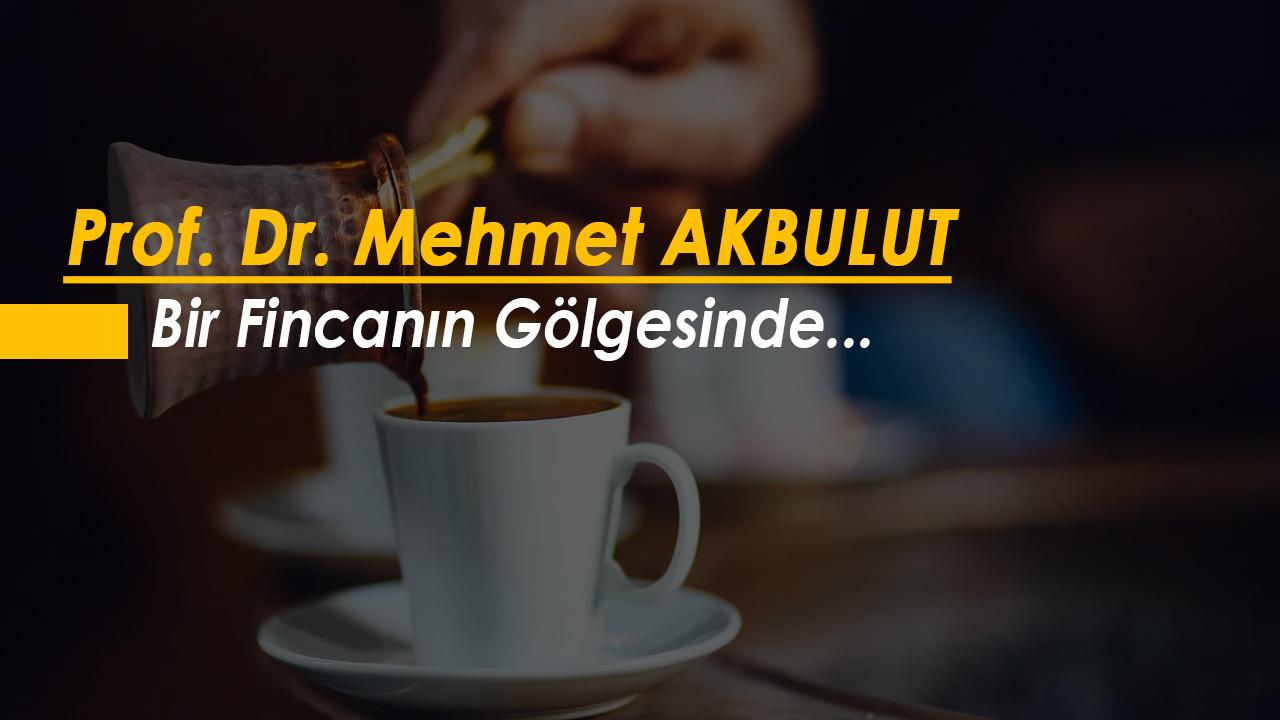 Bir Fincanın Gölgesinde...