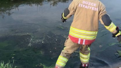 Düzce'de itfaiye ekipleri kanaldan çıkardıkları 2 kedi yavrusunu kalp masajıyla kurtardı