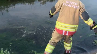 Düzce'de itfaiye ekipleri kanaldan çıkardıkları 2 kedi yavrusunu kalp masajıyla kurtardı