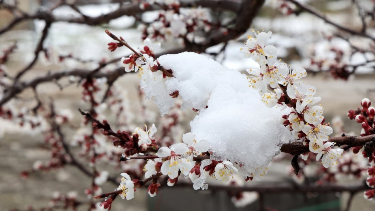 GÜNCELLEME - Malatya'da kar etkili oluyor