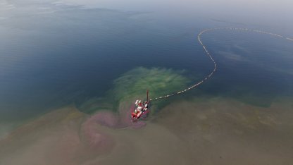 İzmit Körfezi'ndeki dip çamuru temizliği ekosistemi olumlu etkiledi