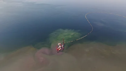 İzmit Körfezi'ndeki dip çamuru temizliği ekosistemi olumlu etkiledi