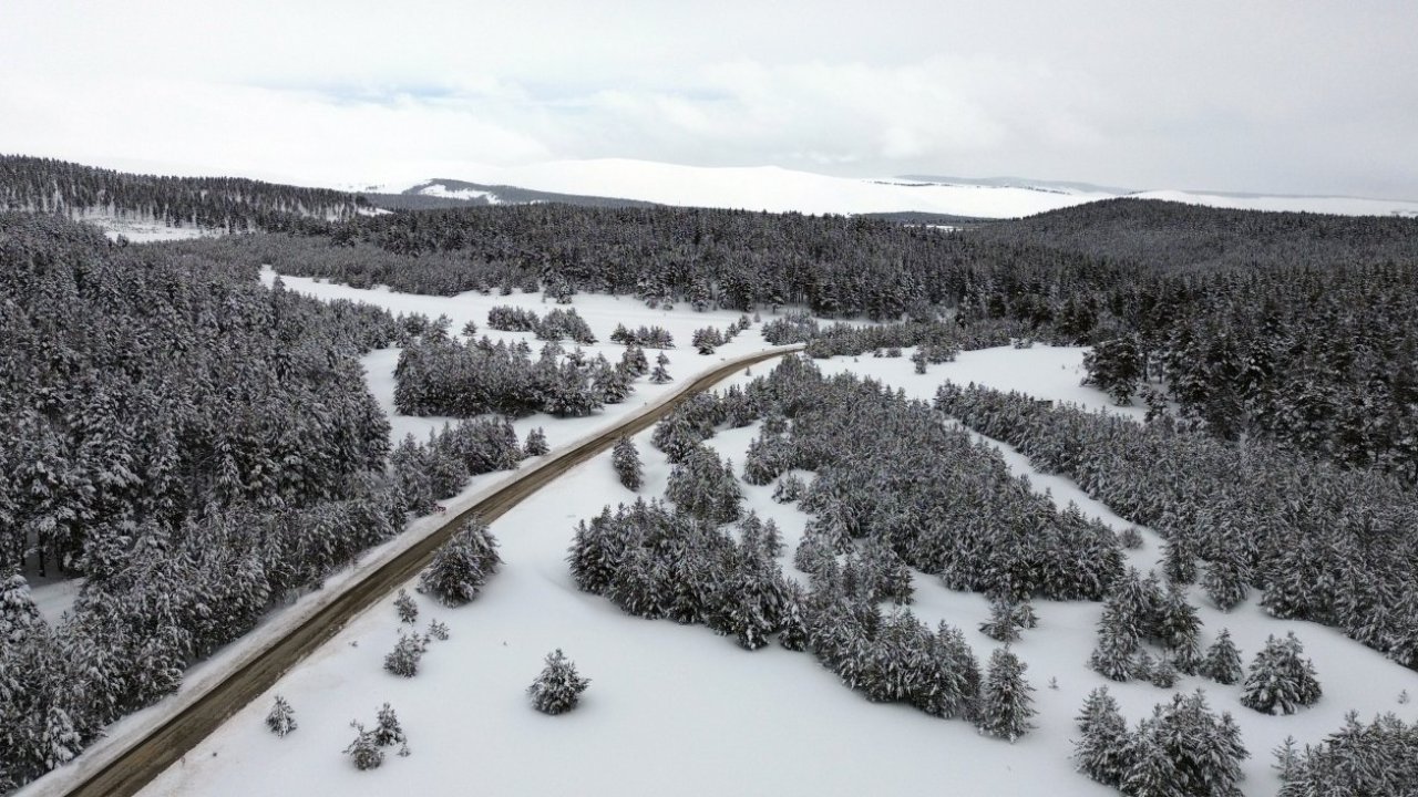 Kars'ta beyaza bürünen sarıçam ormanları dronla görüntülendi