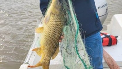 Kırklareli'nde yasak olmasına rağmen baraj gölüne serilen ağ ekiplerce toplandı