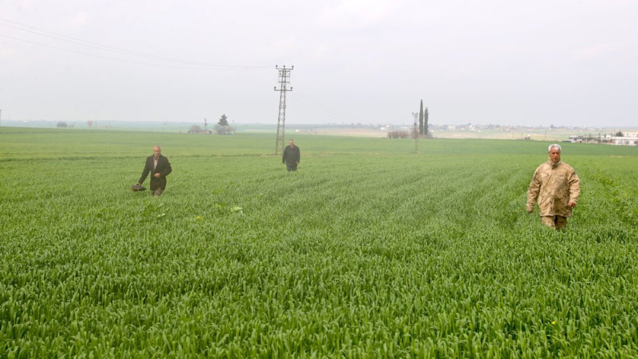 Mardin'de kaybolan 80 yaşındaki kadının bulunması için arama çalışmaları sürüyor