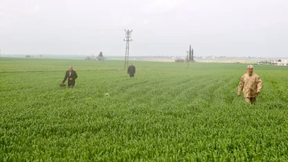 Mardin'de kaybolan 80 yaşındaki kadının bulunması için arama çalışmaları sürüyor