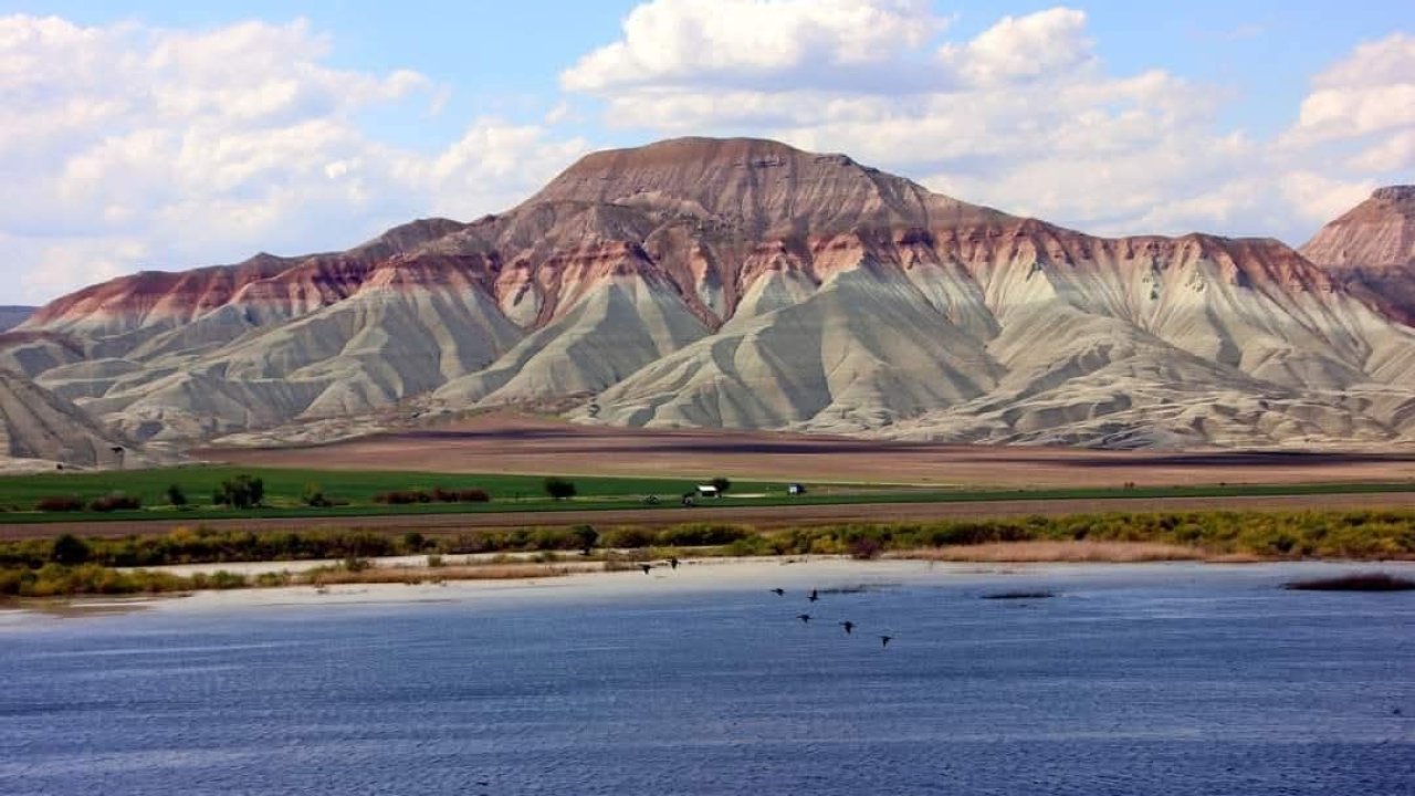Nallıhan Kuş Cenneti göçmen kuşlarla şenlendi