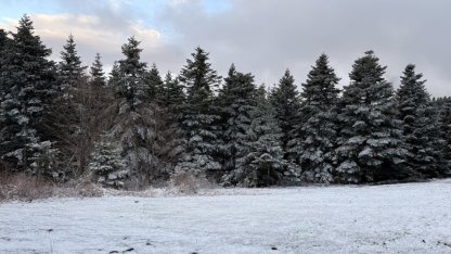 Samsun'da nisan ayında yağan kar doğayı beyaza bürüdü
