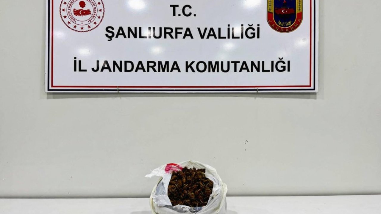 Şanlıurfa'da araçta 1 kilogram uyuşturucuyla yakalanan 2 şüpheli gözaltına alındı