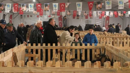 Tekirdağ'da "Küçükbaş Hayvancılık Festivali" yoğun katılımla devam ediyor