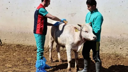 Valilik, Sivas'ta keneye karşı uyardı
