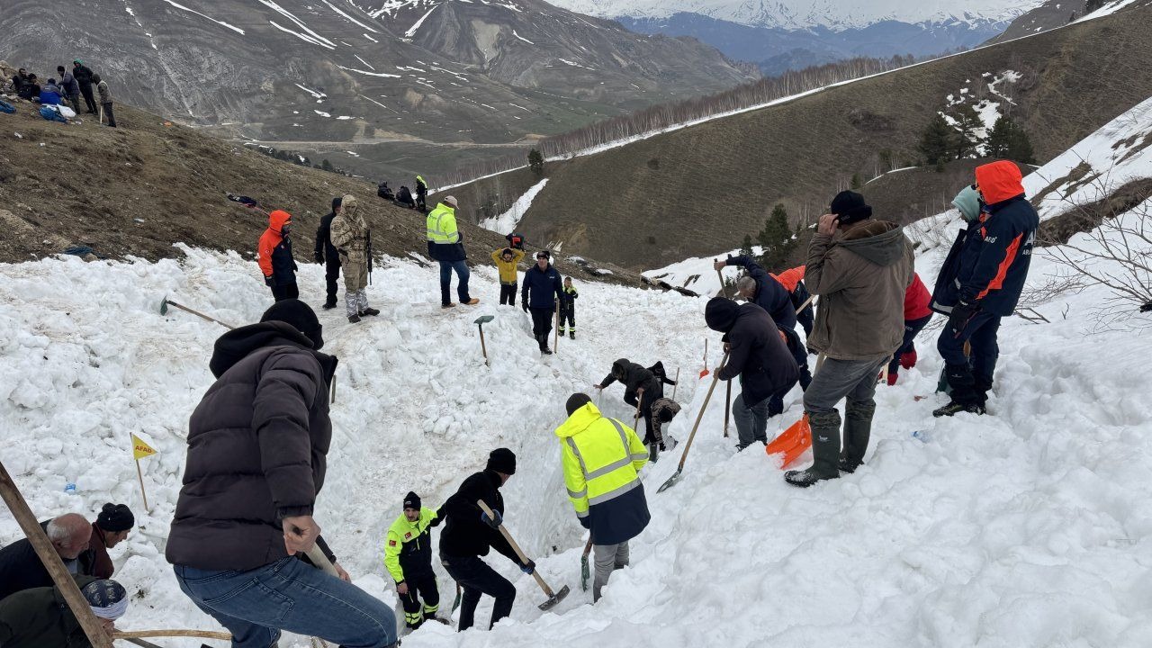 Artvin Ardanuç'ta çığ altında kalan çoban hala bulunamadı