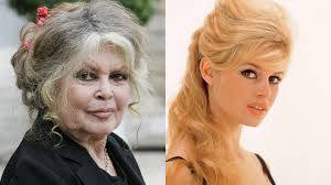 Dünya sineması yasta! Brigitte Bardot hayatını kaybetti