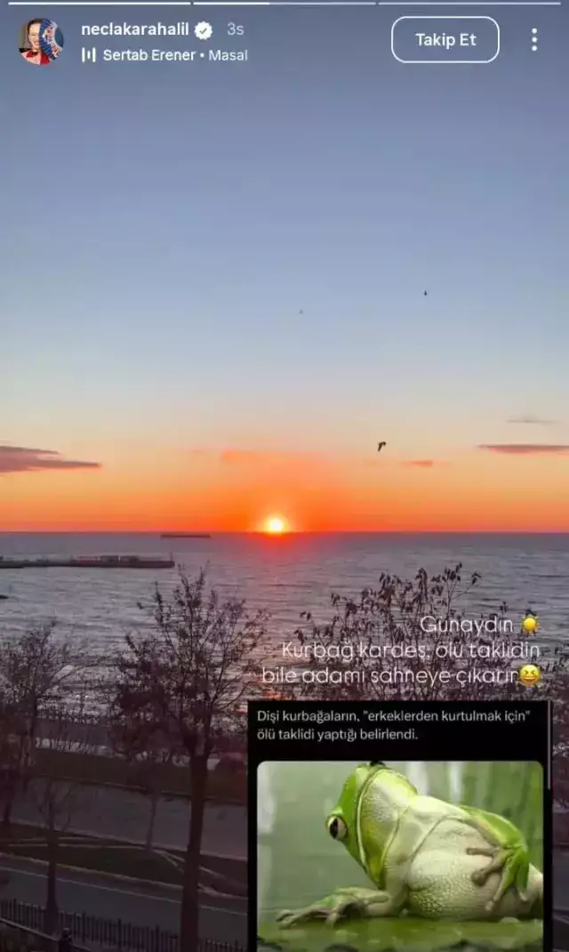 Eski sevgiliden Cem Yılmaz'a can yakan '38 yaş' göndermesi