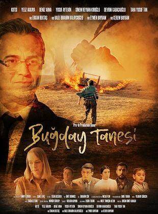 Buğday Tanesi İngiltere’den ödülle döndü