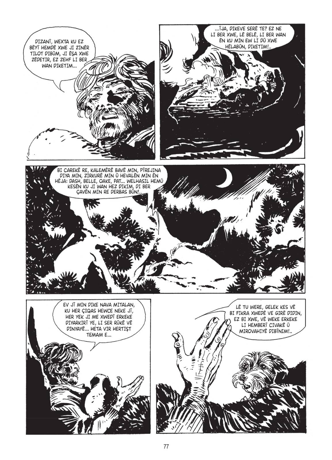 Kürtçe Çizgi Romanlarla Tanışın