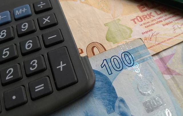 Ford, Akbank ve Koç Holding dahil 11 şirket bu ay temettü dağıtıyor