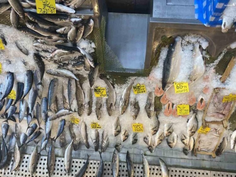balık fiyatları düştü, karadeniz somonu 300 yerine 100 liradan satılıyor